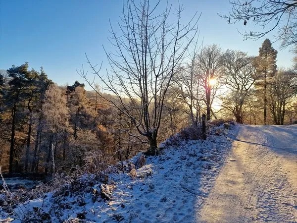 Network cabinet installation